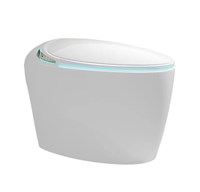 Bồn cầu thông minh tự động rửa EG168